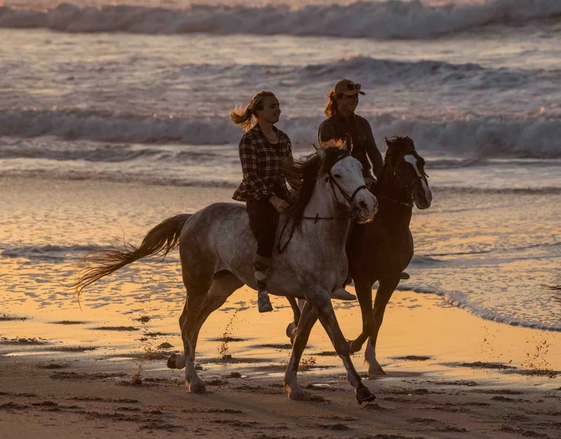 Lea and Bicha galloping on the beach of Dakhla at sunset