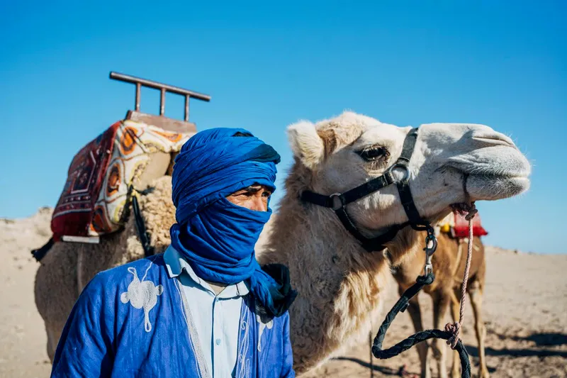 Cliffs & Ocean camel ride in Dakhla