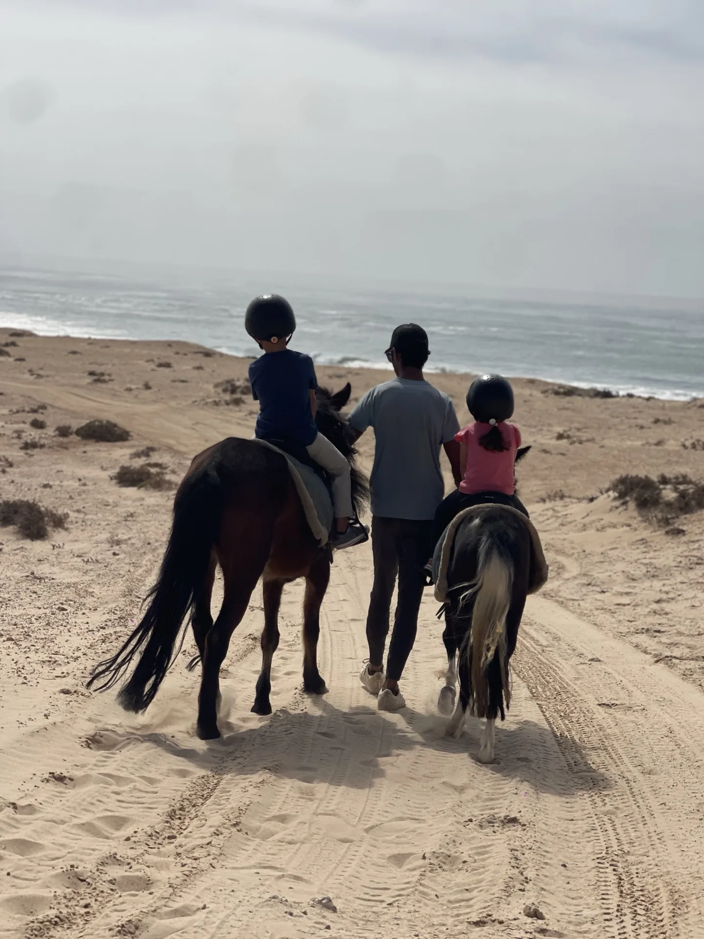 Child on a pony led by a guide through the Dakhla desert