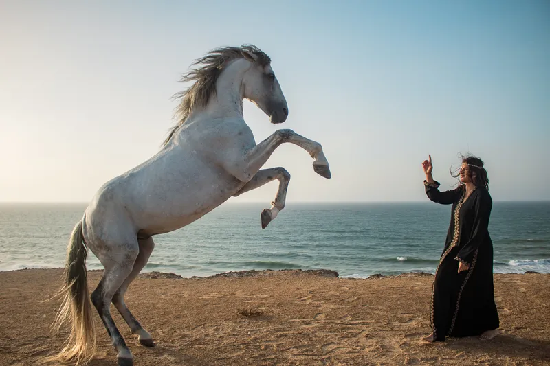 Photoshoot in the Dakhla desert with a horse