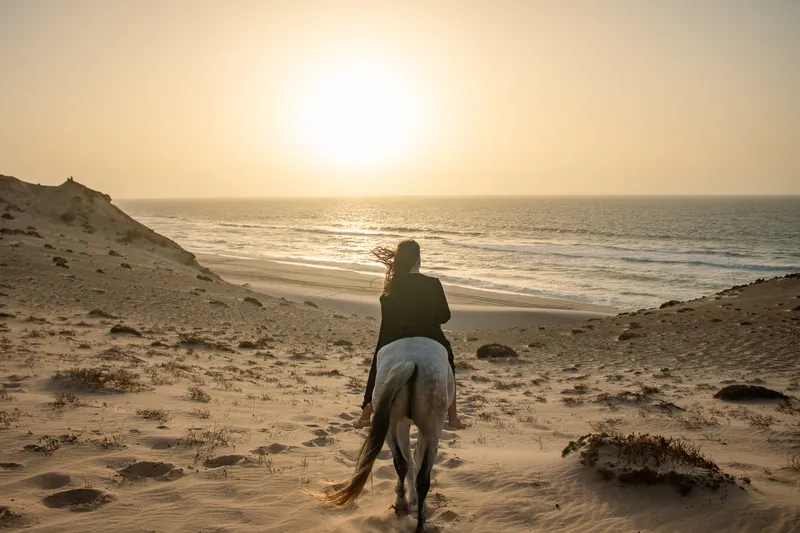 Riders at sunset on the cliffs of Dakhla