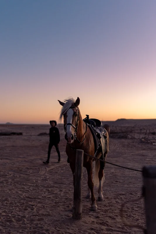 Silhouette of a rider at sunset in the Dakhla desert