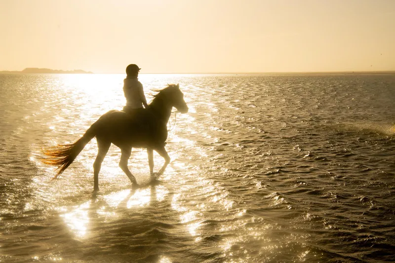 Horseback sunset near the lagoon in Dakhla