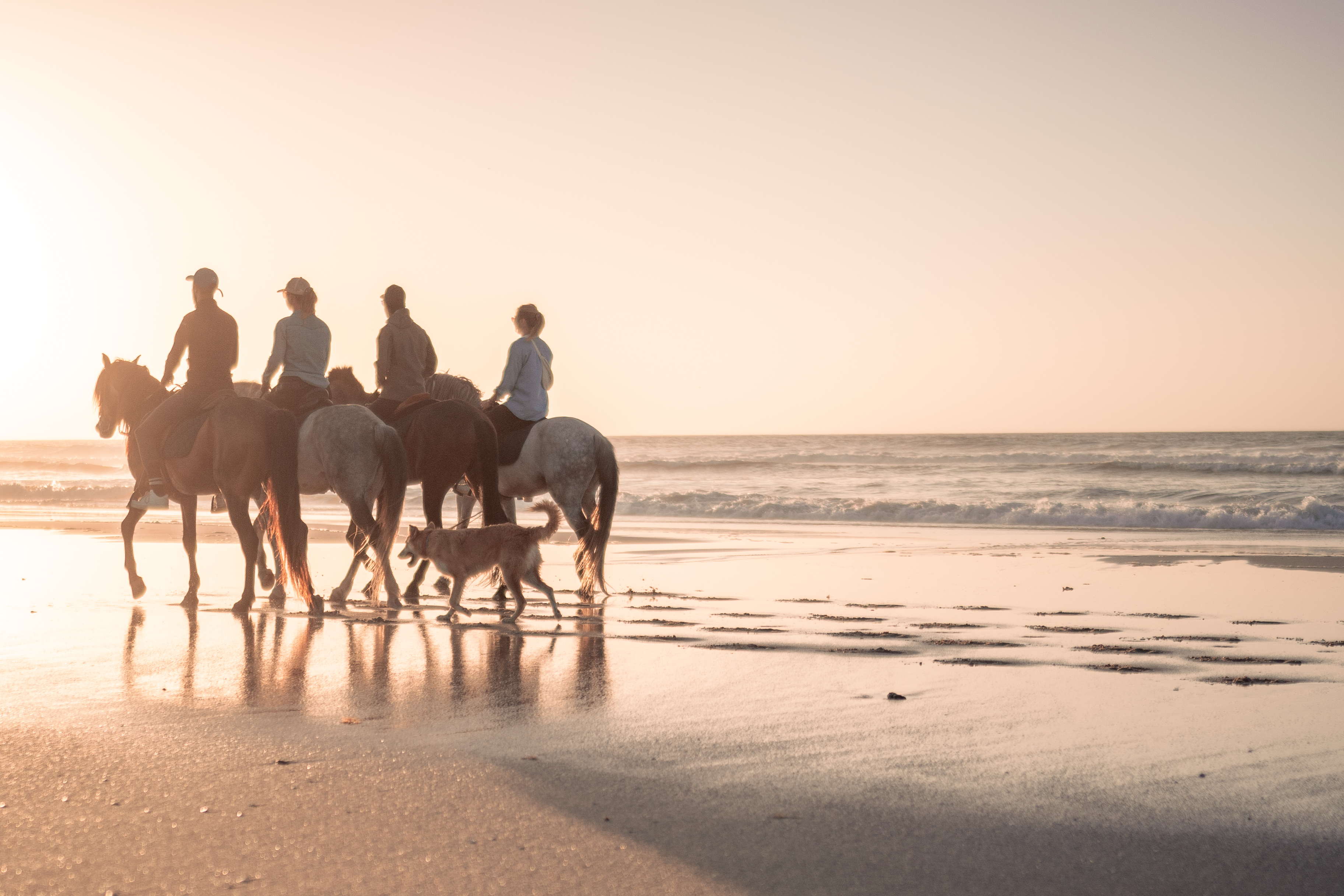 Riders at sunset on the beach of Dakhla