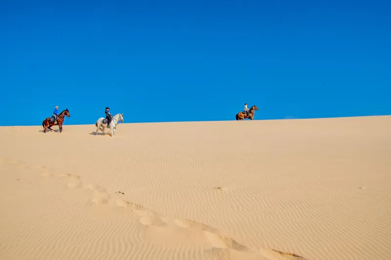 Dune Blanche Excursion in Dakhla