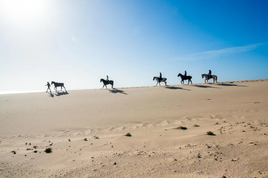 Cavaliers sur la crête d'une dune dans le désert de Dakhla
