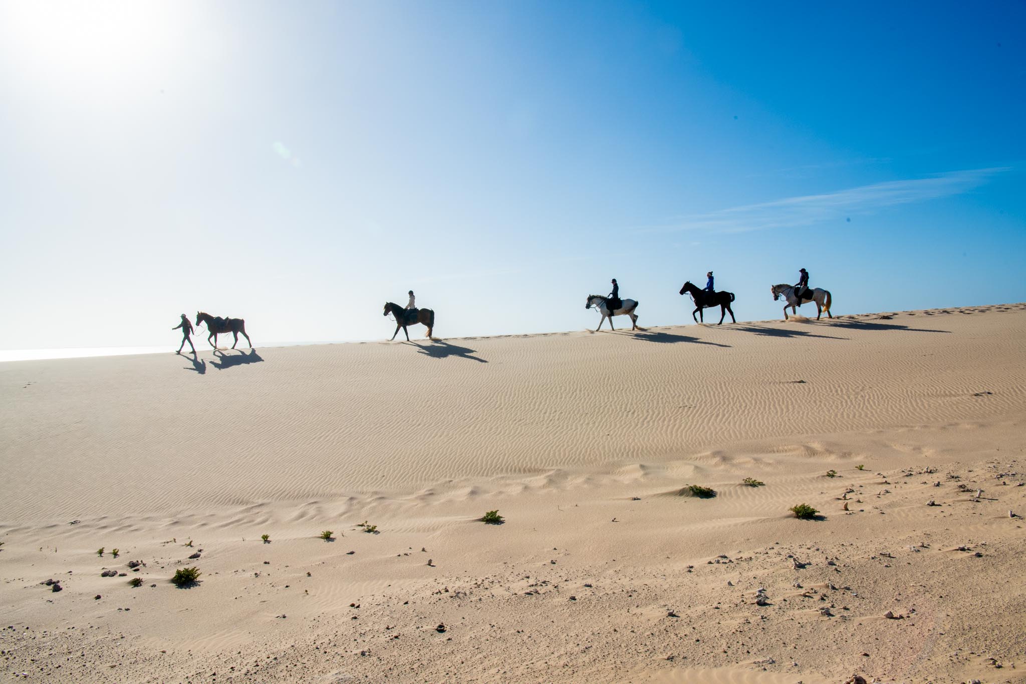Riders on the crest of a dune in the Dakhla desert