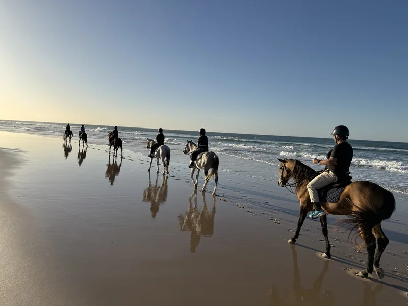 Ocean Ride in Dakhla