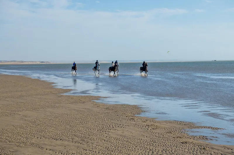 Desert, Ocean & Lagoon Ride in Dakhla