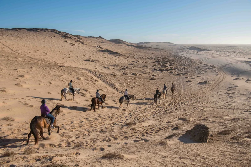 Desert & Ocean Ride in Dakhla