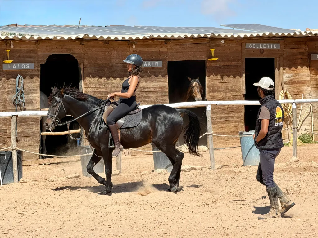 Cours d'équitation à Dakhla — adulte au trot