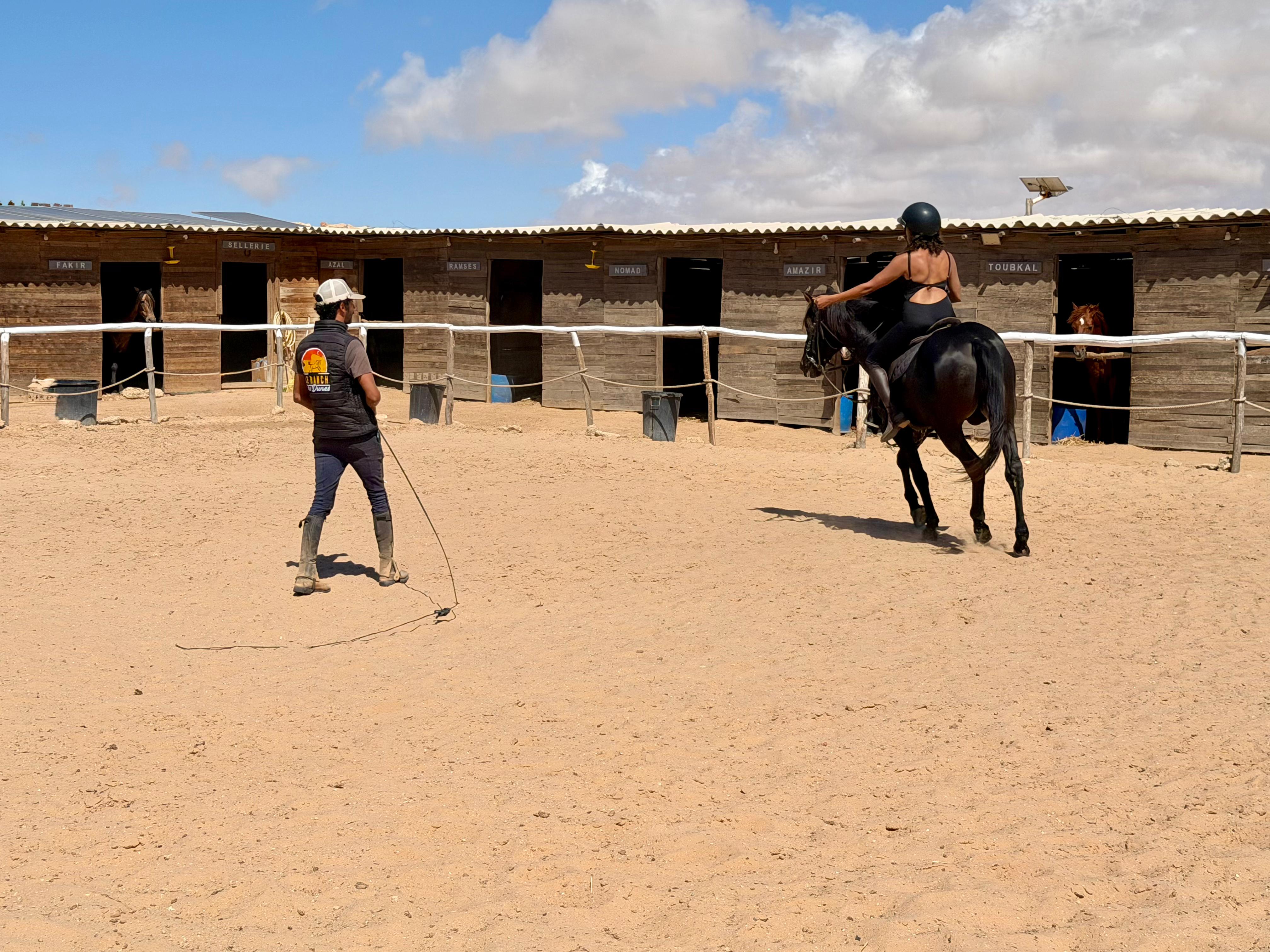 Lunging lesson in the arena at Ranch des Dunes in Dakhla