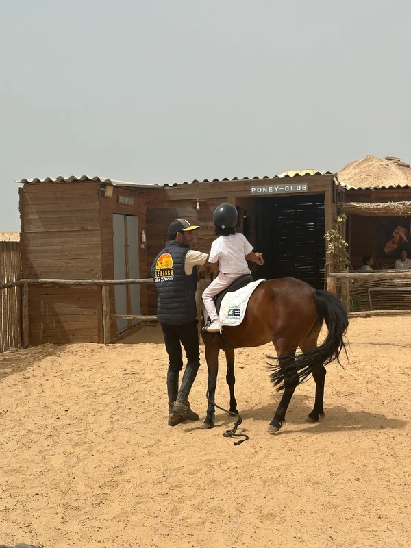 6-hour pony package in Dakhla