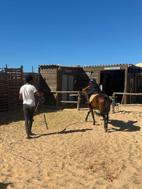 12-hour pony package in Dakhla