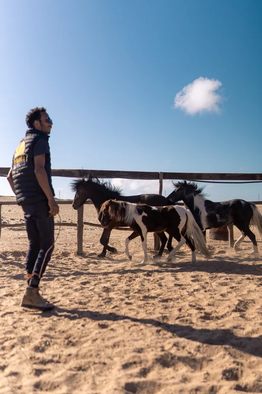 Instructor with the ponies in the paddock at Ranch des Dunes
