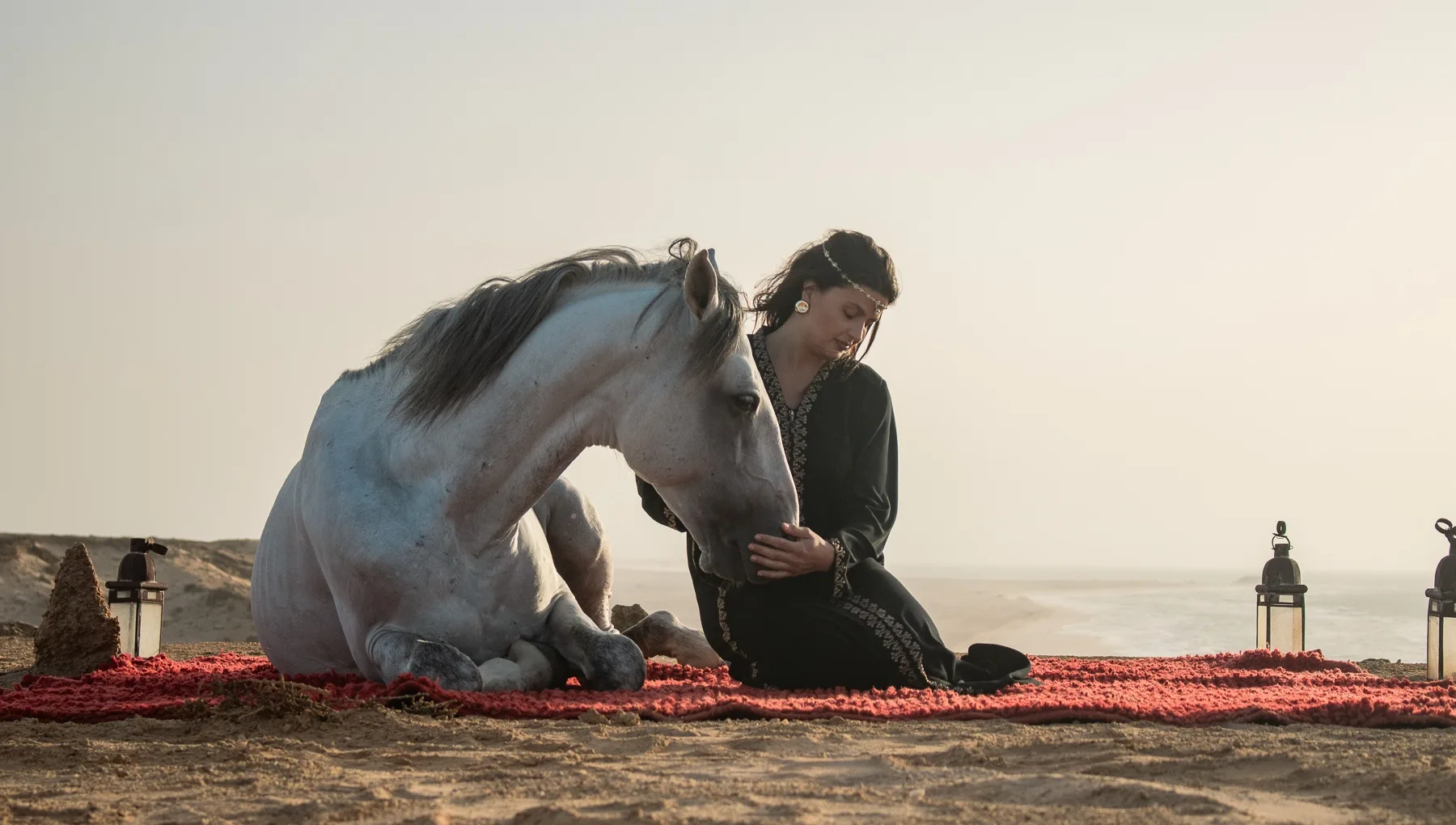 Professional horse photoshoot in the Dakhla desert