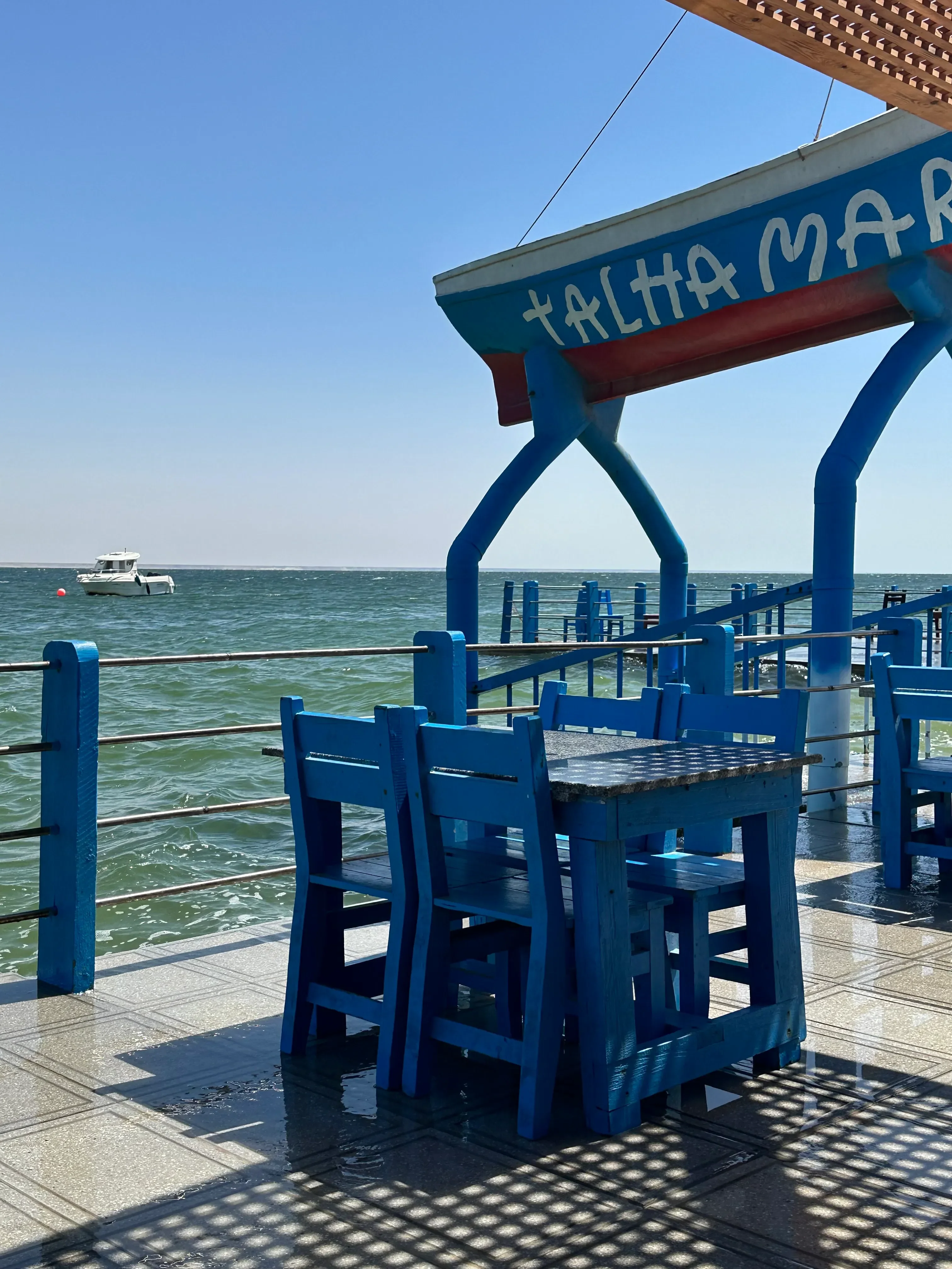 Oyster tasting at Talha Mar, Dakhla