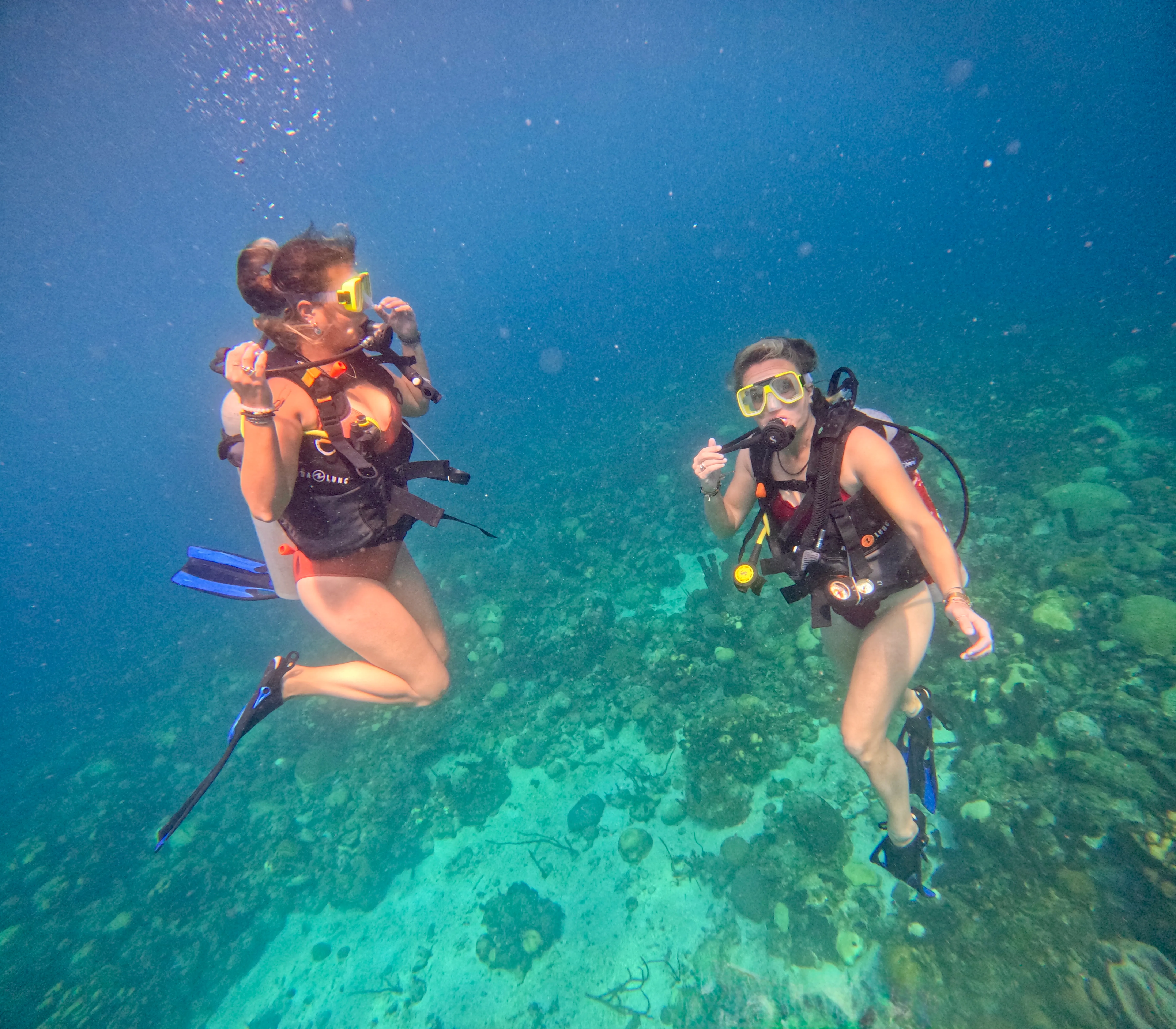 buceo en la laguna turquesa de Dakhla